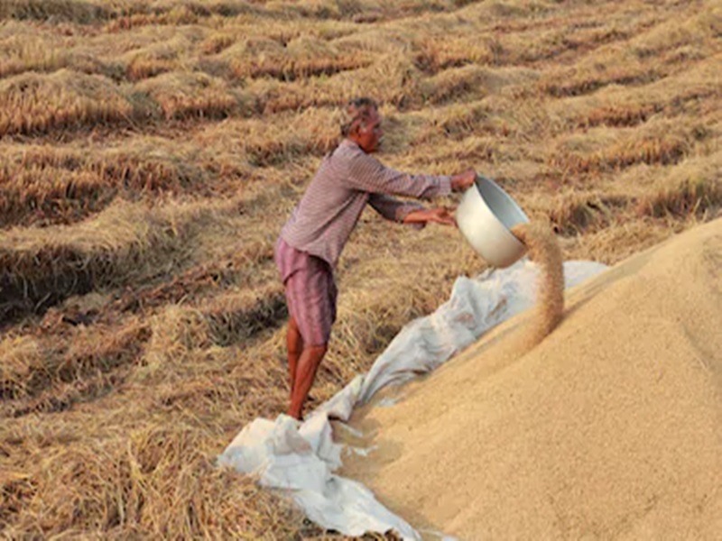 Rajnandgaon ranks first in paddy procurement