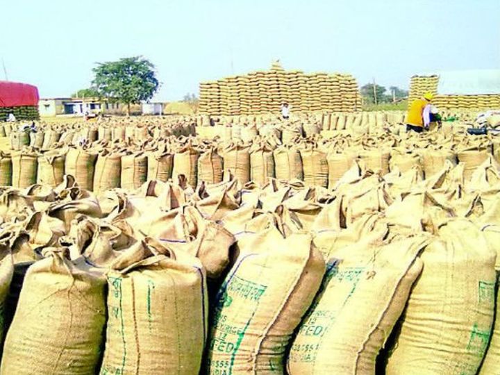 Preparations for buying paddy in Chhattisgarh are complete