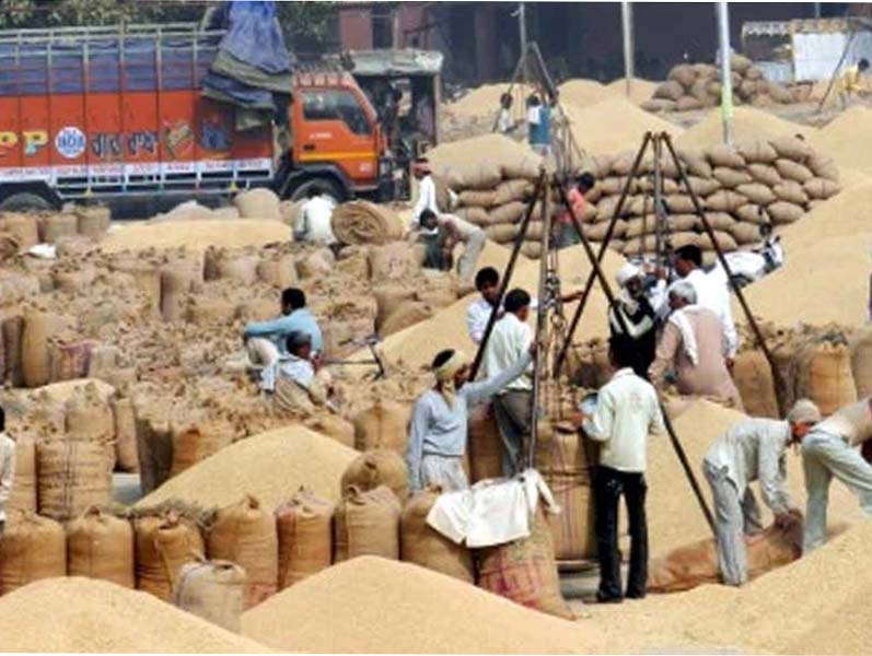 So far 4.43 lakh metric tonnes of paddy has been procured in Chhattisgarh